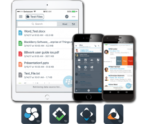 BlackBerry Work Task App
